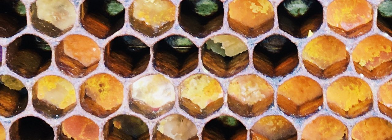 Beeswax candles