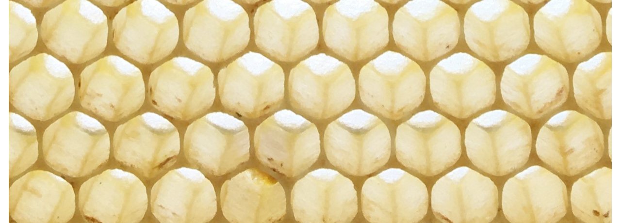 beeswax candle