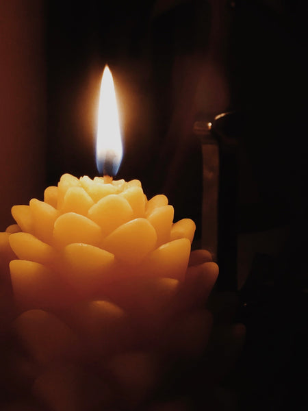 Shop my Collection &lt;br&gt; ✿ Christmas ✿