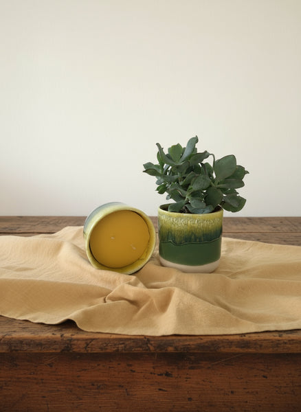 Bienenwachskerzen im grünen Keramikbecher, zwei Dochte und mit Pflanze